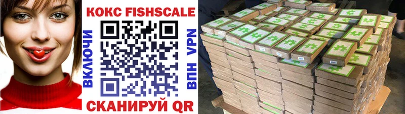 COCAIN Fish Scale Сольцы
